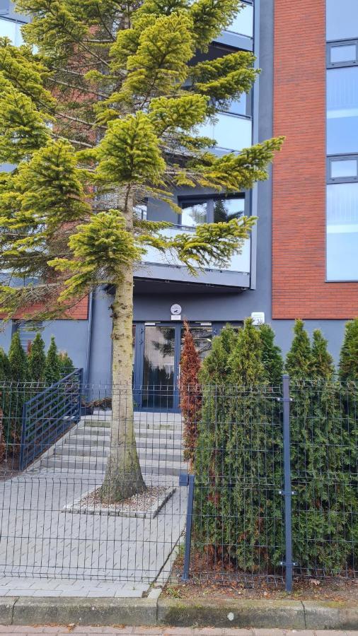 Daira Apartments 尤斯托尼莫斯基 外观 照片